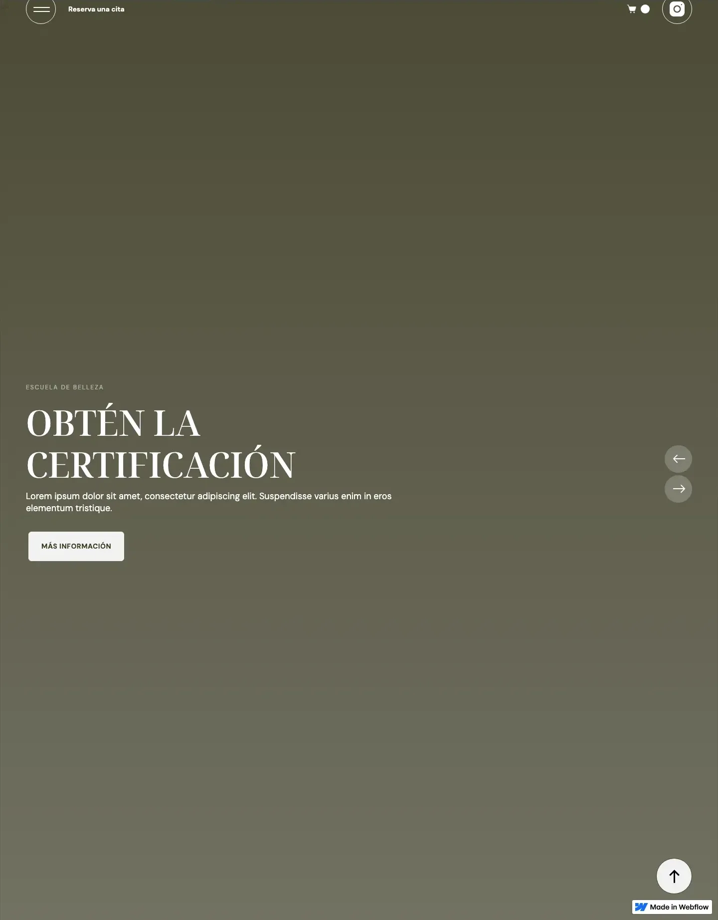 Diseño de página web para belleza y estética