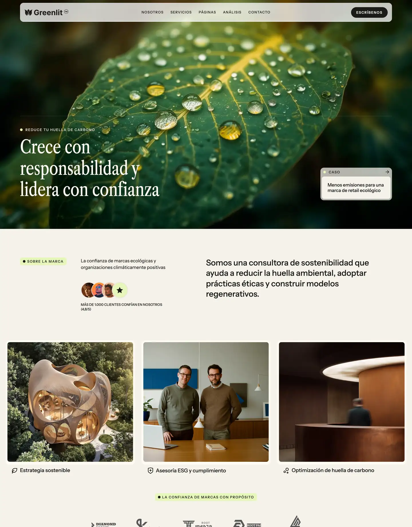 Diseño de página web para medio ambiente