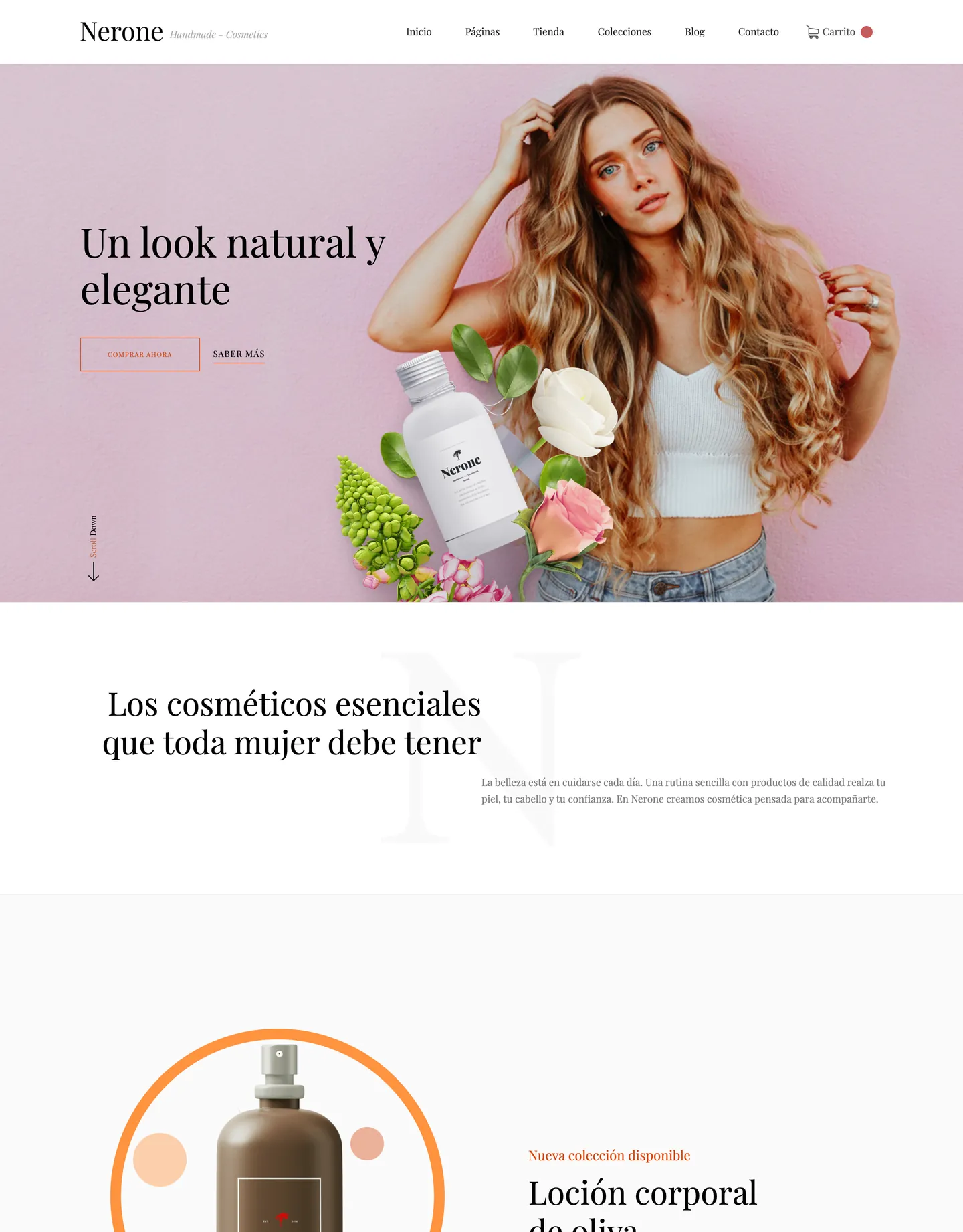 Diseño de página web para tienda online